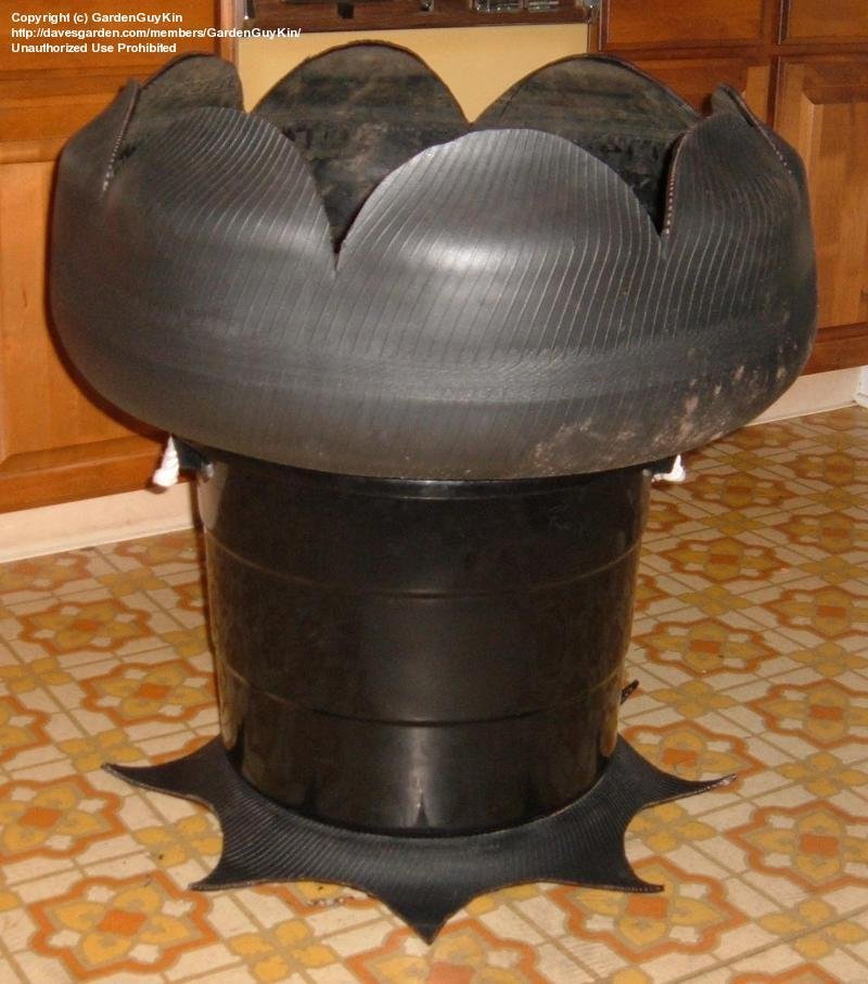 cc8efd.jpg