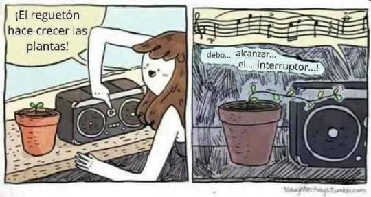 CC_2738936_37c57b88041c4958a0a0821360b27cf8_otros_por_eso_las_plantas_crecen_con_el_reggaeton.jpg