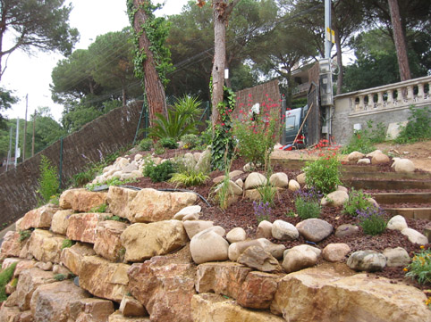 CCC101-0101_IMG.jpg