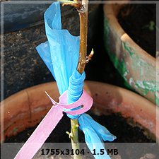 cda543005f27ef41638f6d0ff9e0a30ao.jpg