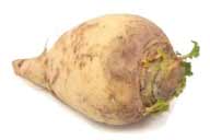 CDC_rutabaga.jpg
