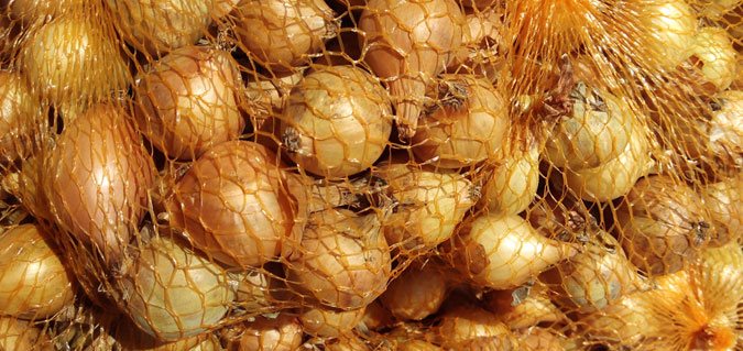 cebollas-de-bulbo-para-plantar.jpg