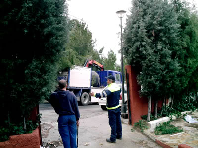 cedro011.jpg