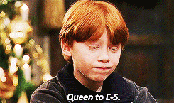 CekKNsF.gif