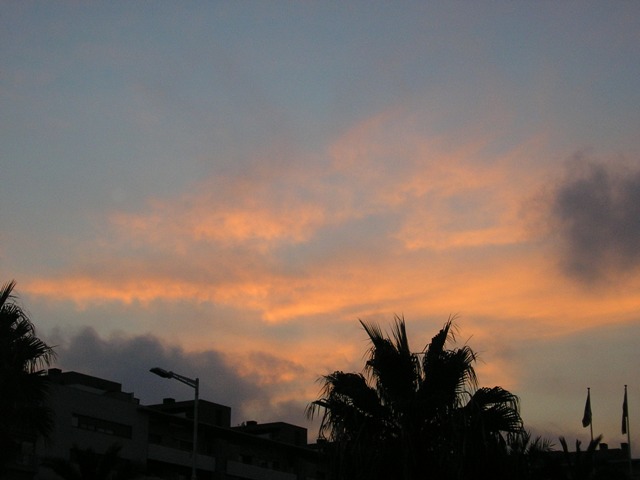 cel 015_.jpg