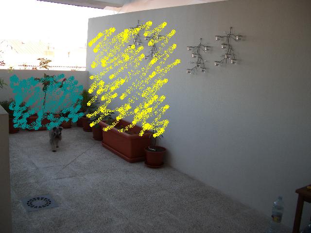 celos_a.JPG