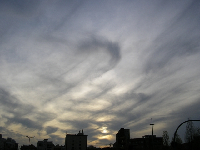 CelVent_002.JPG