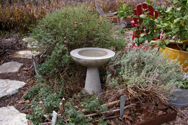 cement-bird-bath-1.jpg