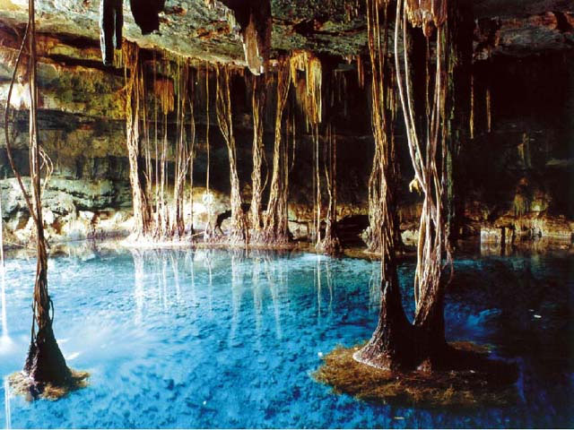 cenote-Yucatan1b.jpg