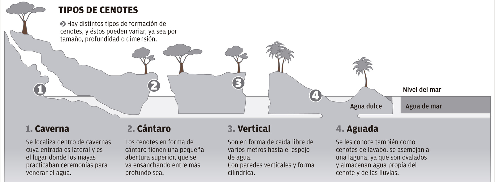 censo-cenotes-merida.jpg