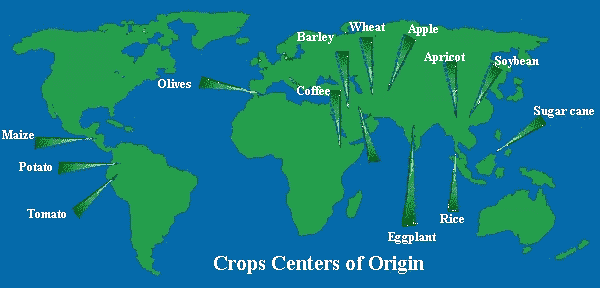 CentersOfCropOrigin.gif