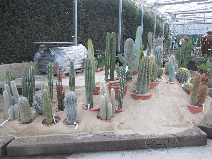 centro+jardineria+18+febrero+2012.jpg