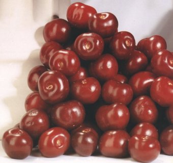 cerezas.jpg