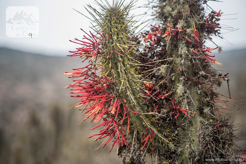cerro-corazon-01.jpg