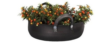 cf01400c0d911f1c_8147-w422-h166-b1-p0--eclectic-outdoor-planters.jpg