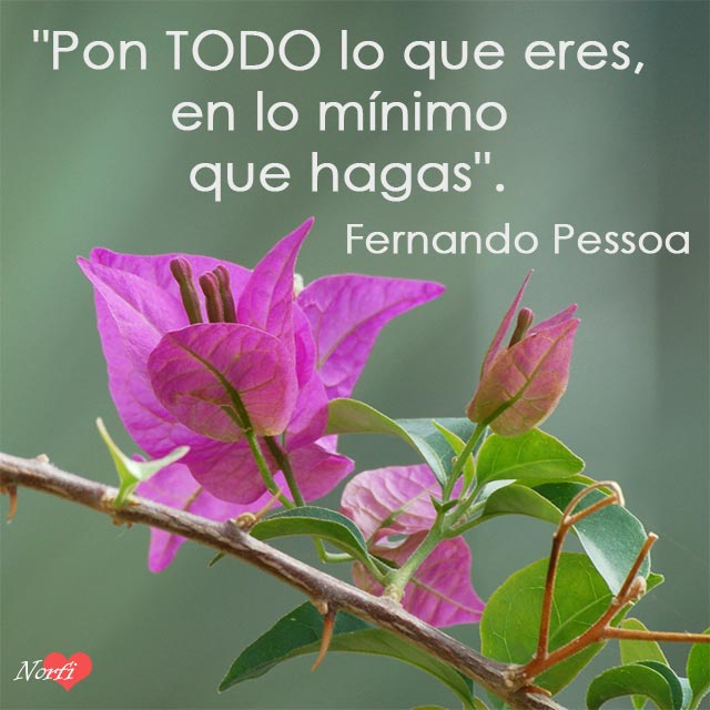 cf62e596ca86fe03ebb841e50dc6431d.png