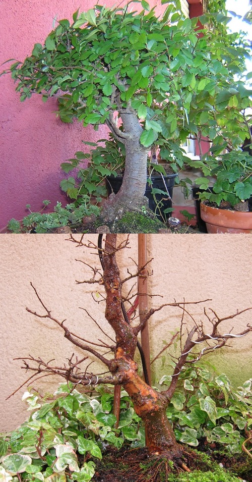 change_zps2b2c0cb5.jpg