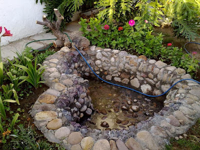 charco+1.JPG
