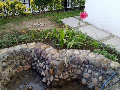 charco+3.JPG