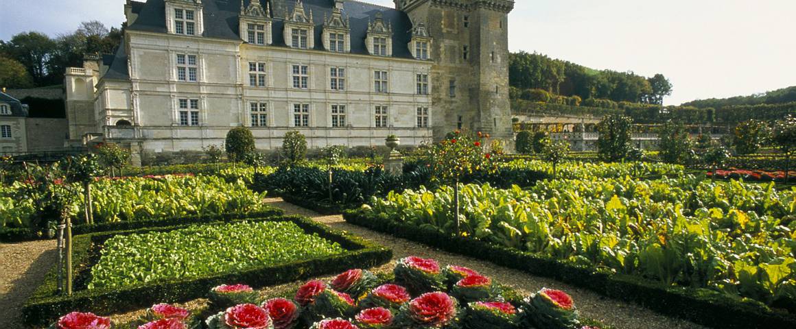 chateau-et-jardins-de-villandry-espanol-1558361662.jpg