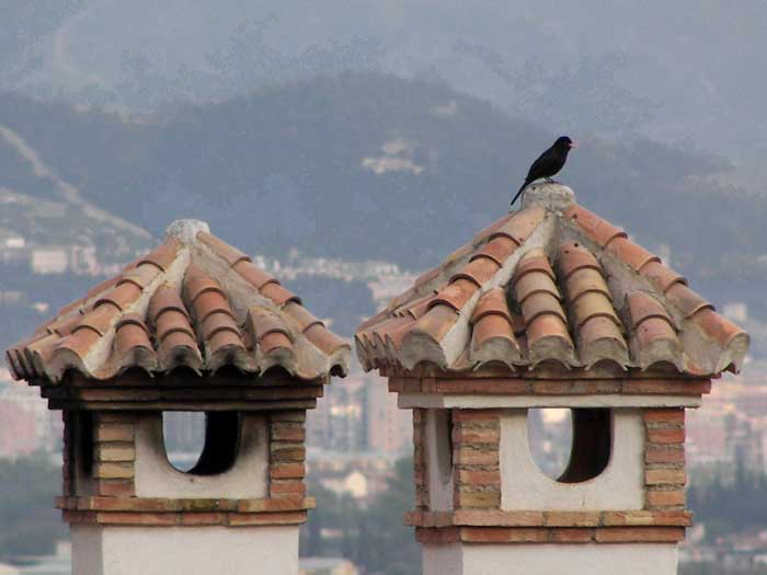 chimeneasyestornino.jpg
