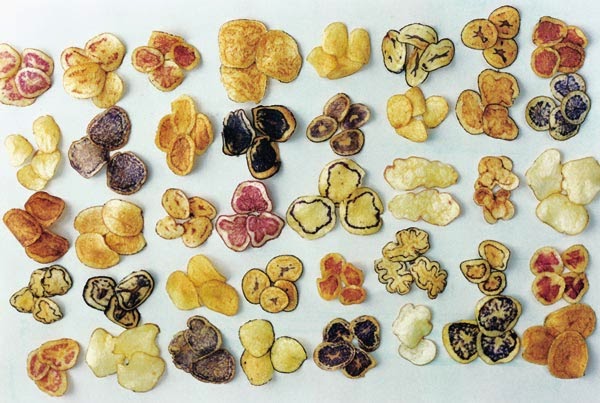 CHIPS%2Bde%2Bdistintas%2Bpatatas.jpg