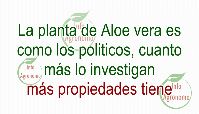 chiste-propiedades-politicos.gif