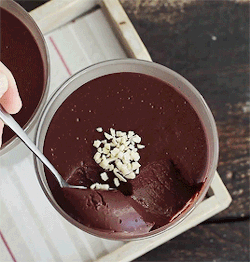 Chocolate-Pudding-chocolate-39131400-250-262.gif