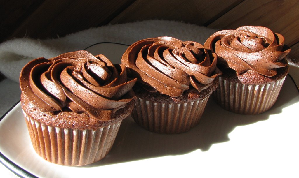 Chocolate_Cupcakes_by_sunnydaze2277.jpg