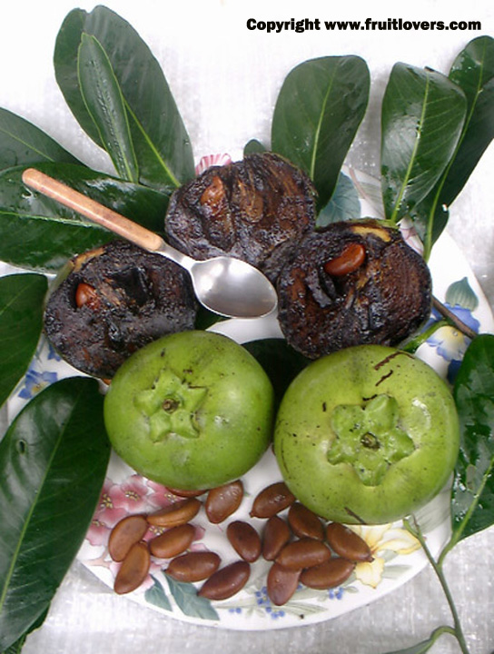 ChocolateSapote.jpg