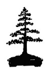 chokkan_bonsai.gif