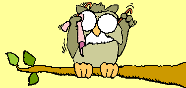 chouettes-11.gif