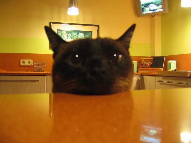 Chuli%20cena%202%20p.JPG