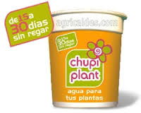 chupiplant.jpg