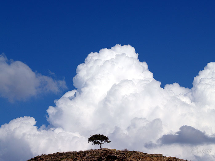 Cielo2.jpg