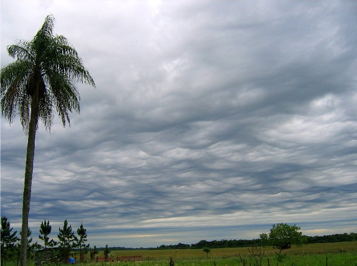 CIELOS 002.jpg