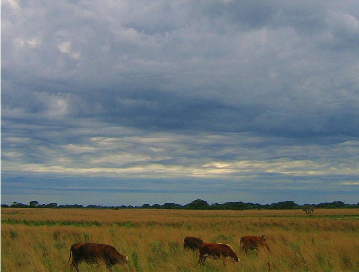 CIELOS 020a.jpg