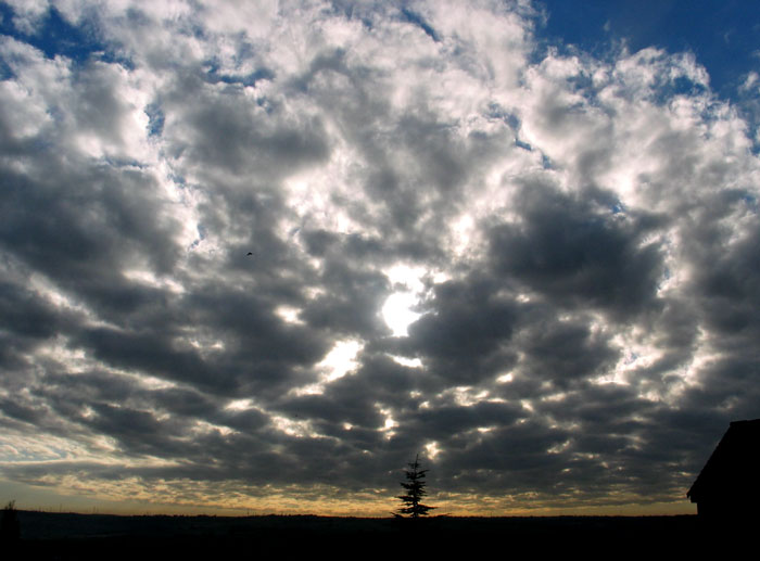 cielos-718.jpg