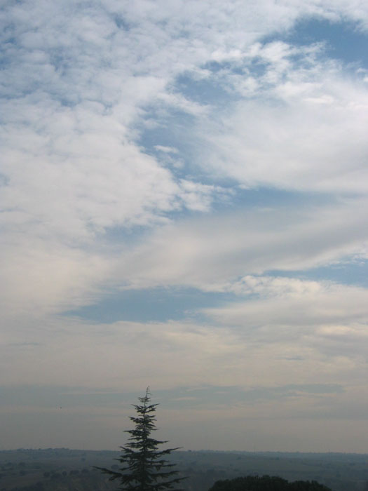 cielos1031.jpg