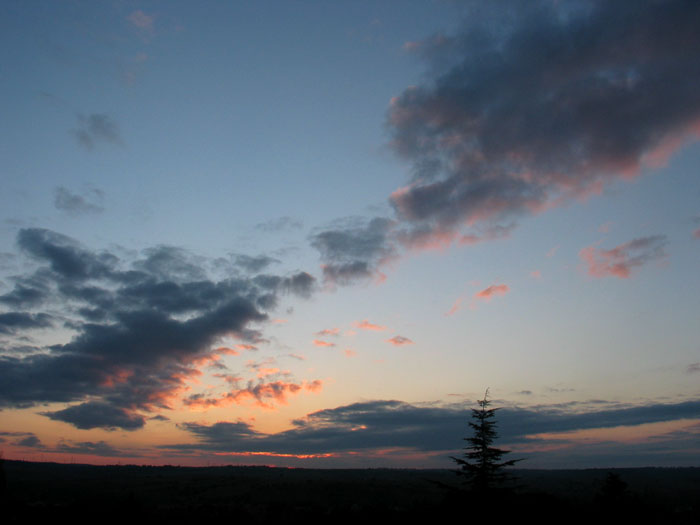 cielos1035.jpg