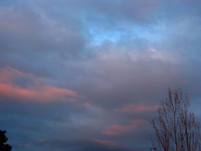 cielos1038.jpg