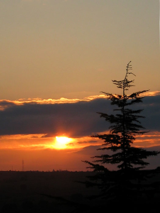cielos1042.jpg