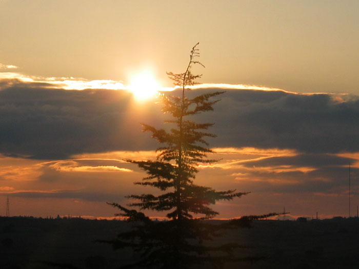 cielos1043.jpg