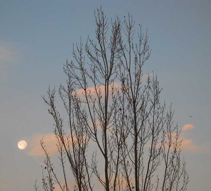 cielos1079.jpg