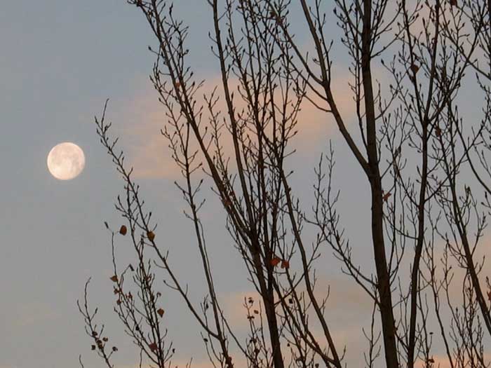 cielos1081.jpg