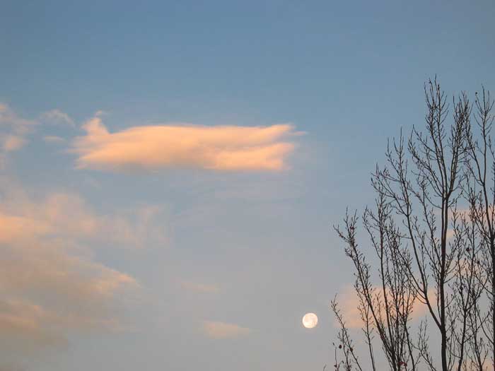 cielos1082.jpg