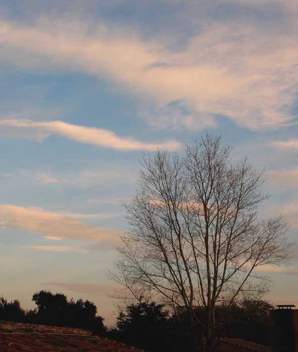cielos1083.jpg