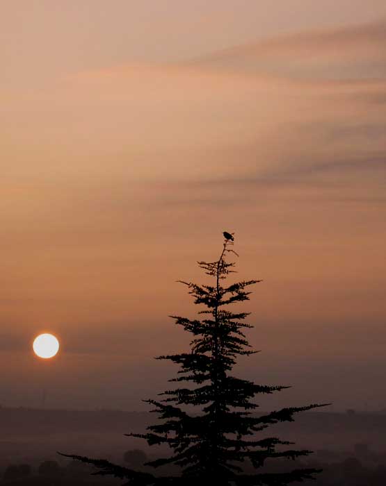 cielos1085.jpg