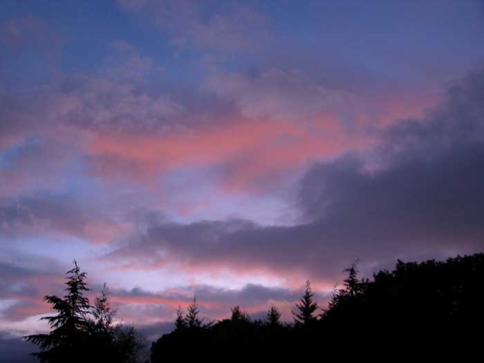 cielos1103.jpg