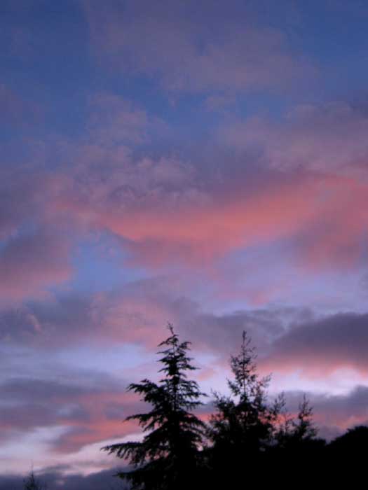 cielos1104.jpg